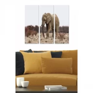 Image of MDF1170103 Multicolor Decorative MDF Painting (3 Pieces)