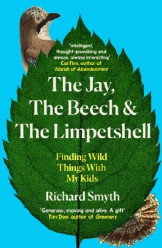 Image of The Jay, The Beech and the Limpetshell : Finding Wild Things With My Kids Paperback / softback