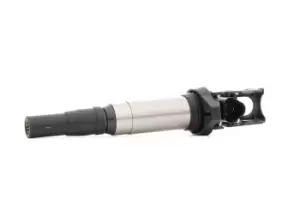 Image of RIDEX Ignition coil 689C0343 Coil pack,Ignition coil pack BMW,PEUGEOT,CITROEN,3 Touring (E91),3 Limousine (E46),3 Limousine (E90),5 Limousine (E60)