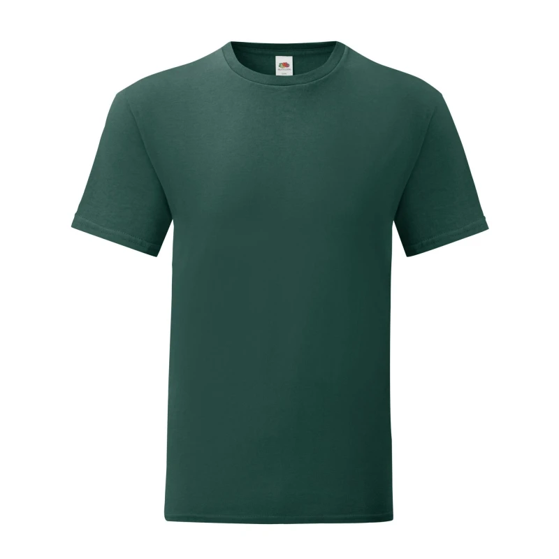 Image of Fruit Of The Loom Fruit of the Loom Men Iconic T-Shirt in Green Size: 3X-Large Green XXXL Male 5063417950738