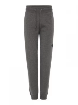 Image of Mens The North Face Classic Sweat Pants Grey