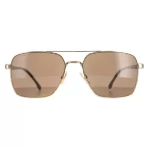 Image of Aviator Rose Gold Brown 1045/S/IT