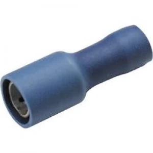 Image of Bullet receptacle 1.50 mm2 2.50 mm2 Pin diameter 5 mm