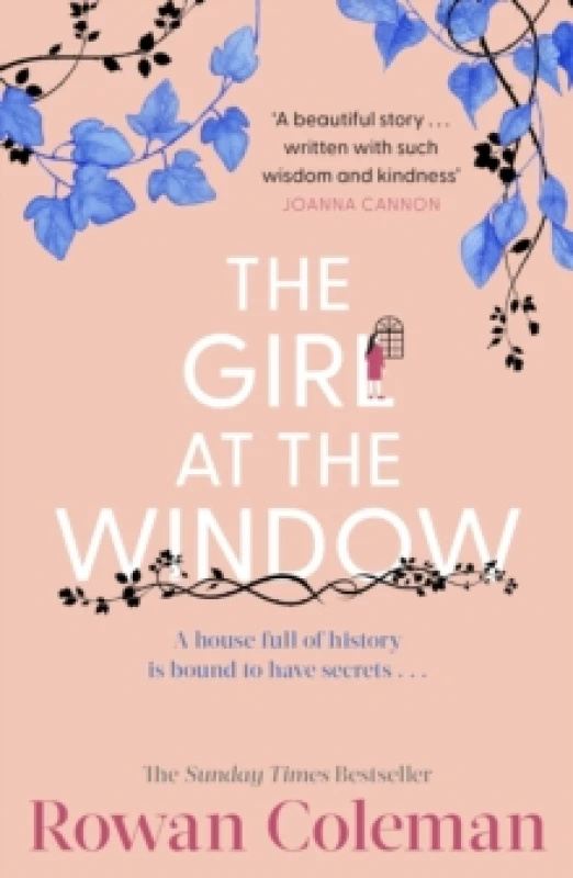 Image of The Girl at the Window Paperback / softback