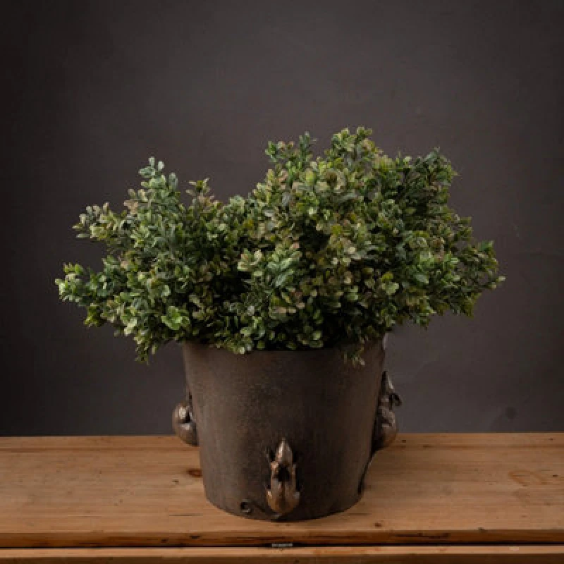 Image of Red Tipped Leaf Spray