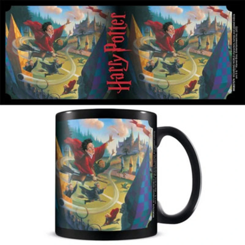 Image of Harry Potter Quidditch Mug True Black unisex