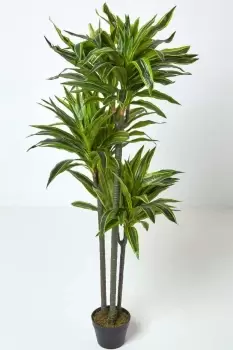 Image of Artificial Dracaena Reflexa in Pot, 150cm Tall