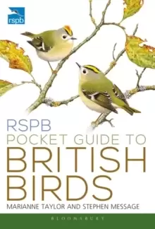 Image of RSPB Pocket Guide to British Birds