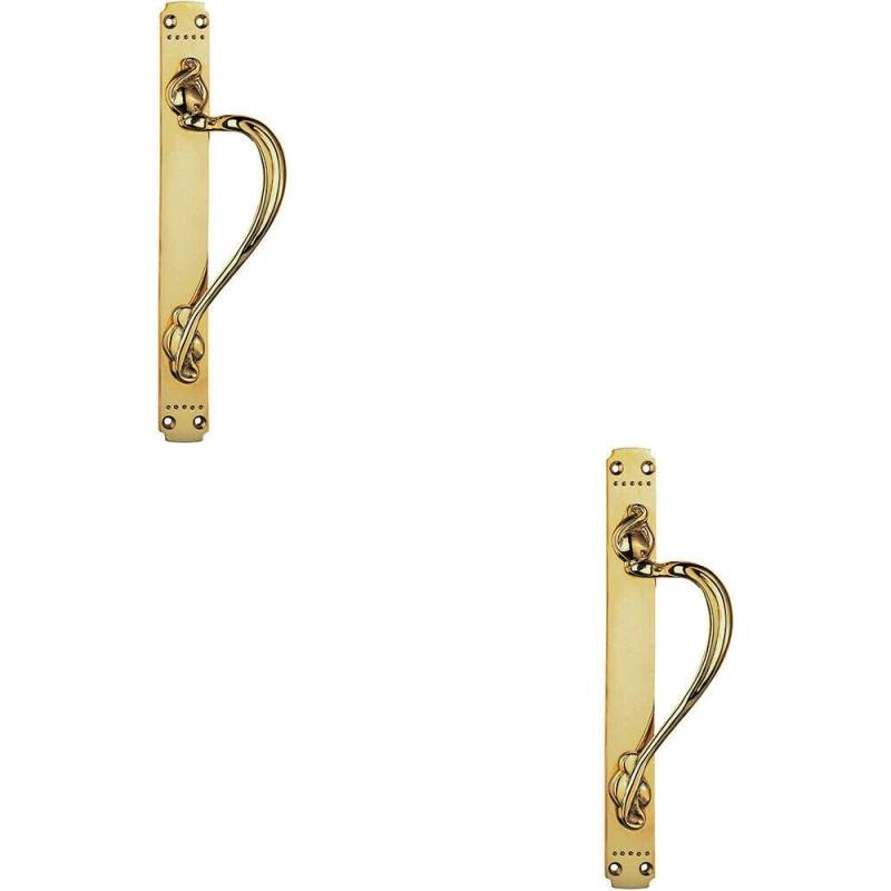 Image of Loops 2x Right Handeda Door Pull Handle With Dot Pattern 384 x 42.5mm Polished Brass Metallics unisex