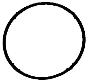 Image of Water Pump Gasket 893.189 by Elring