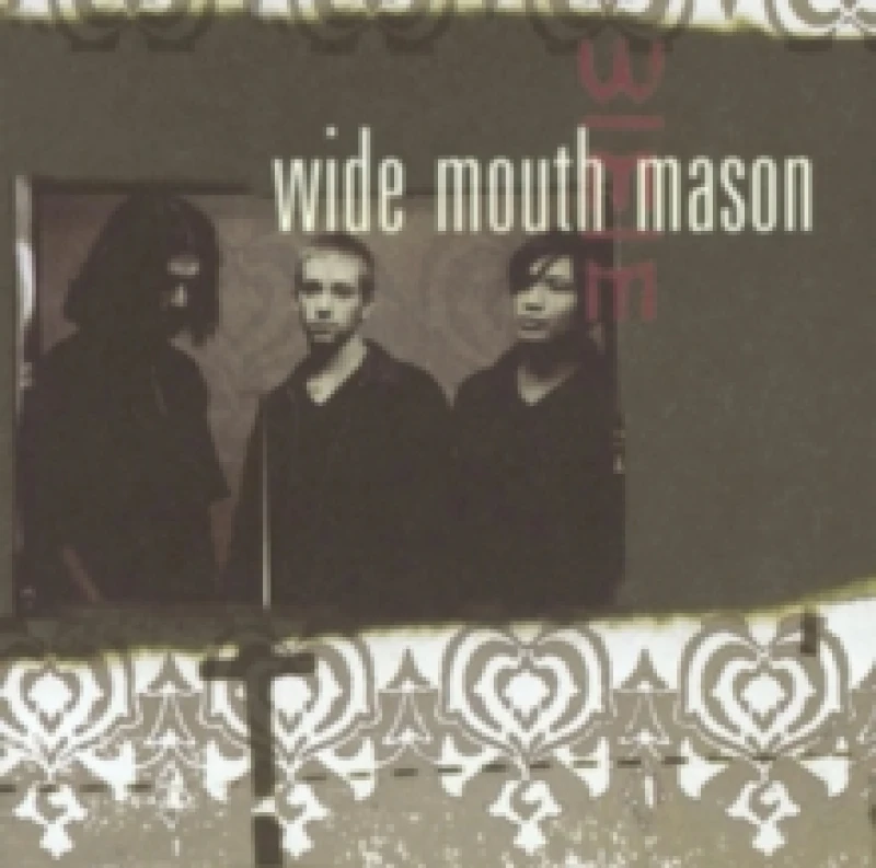 Image of Wide Mouth Mason Vinyl