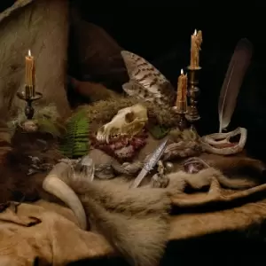 Image of Wolves In The Throne Room Primordial arcana CD multicolor