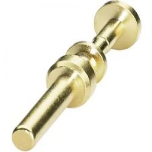 Image of Coninvers 1605744 SM 36KP002 Gold