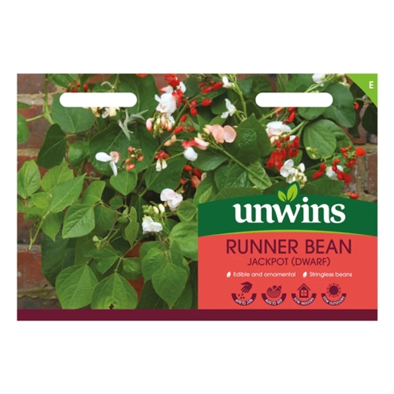 Image of Unwins Runner Bean (Dwarf) Jackpot