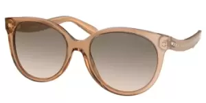 Image of Coach Sunglasses HC8321 565413