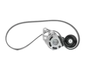 Image of SKF V-ribbed belt set VW,AUDI,SKODA VKMA 31036 045903137D,045903315A,045903137D 045903315A,045903137D,045903315A,045903137D,045903315A