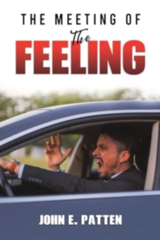 Image of The Meeting of the Feeling Paperback / softback