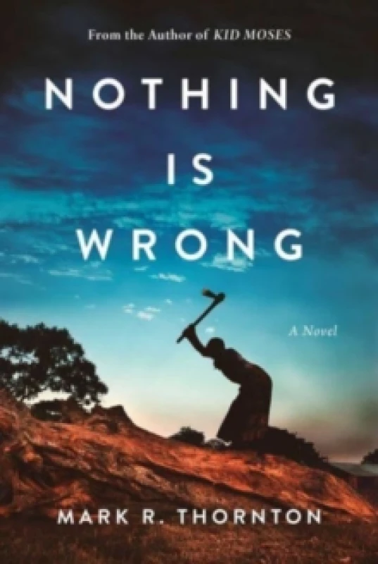 Image of Nothing Is Wrong : A Novel Hardback