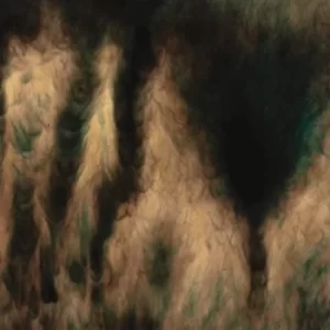 Image of Lamentations by William Basinski CD Album