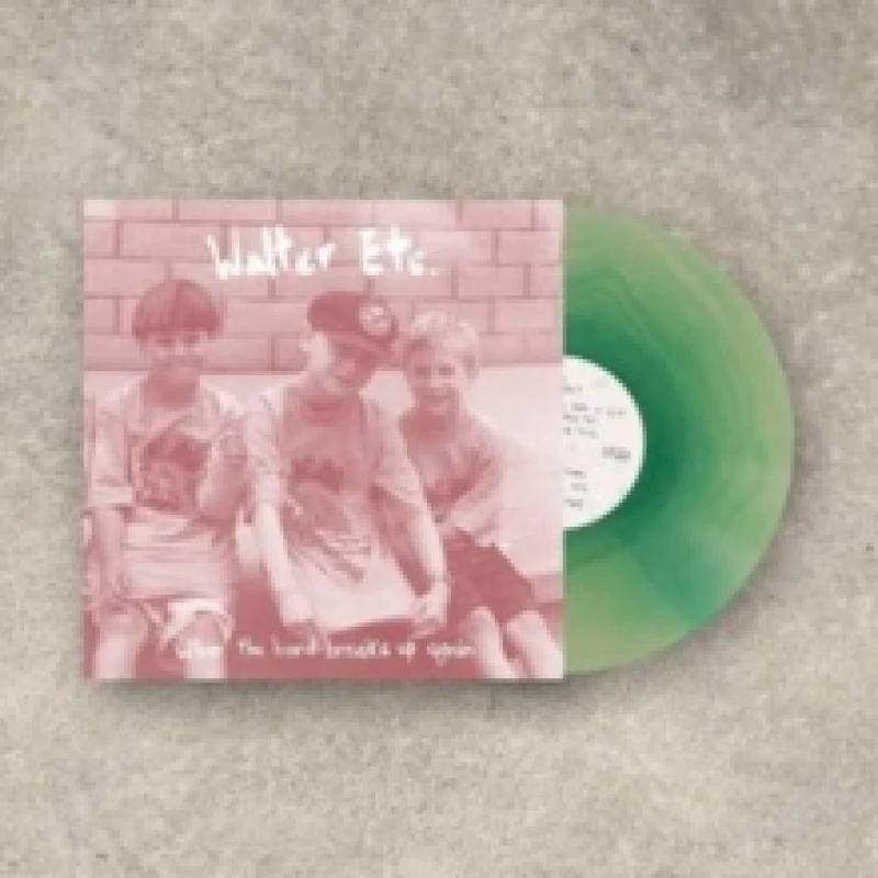 Image of When the band breaks up again Vinyl