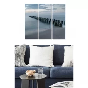 Image of MDF3875910 Multicolor Decorative MDF Painting (3 Pieces)