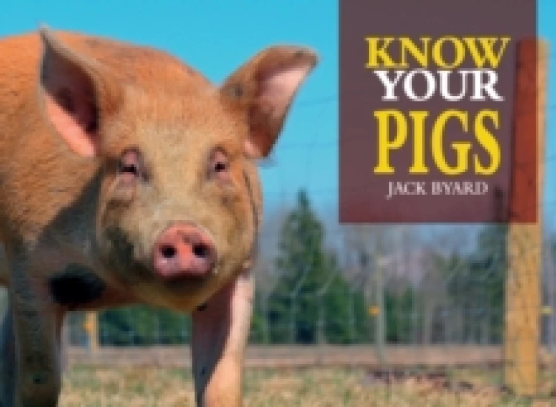 Image of Know Your Pigs Paperback / softback