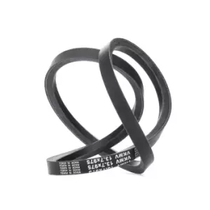 Image of SKF V Belt NISSAN VKMV 13.7x975 11720AD200,11720AU600 Fenner Belt
