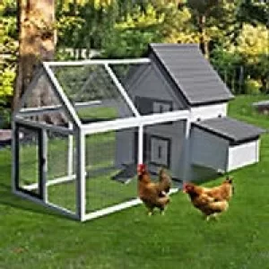Image of PawHut Chicken Coop D51-102 1120 x 1660 x 1200 mm Grey