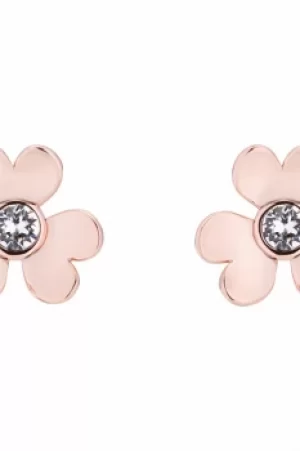 Image of Ted Baker Jewellery Watch TBJ1862-24-02