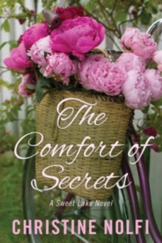 Image of The Comfort of Secrets Paperback / softback