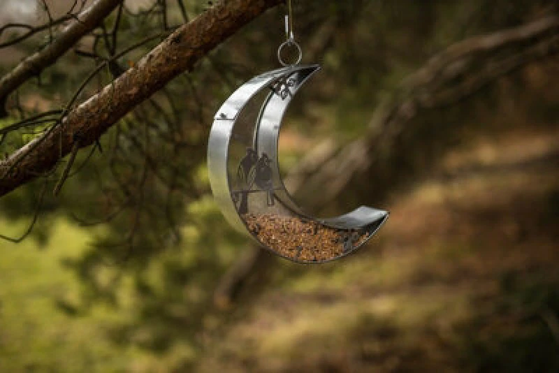 Image of Hanging Moon Garden Bird Feeder