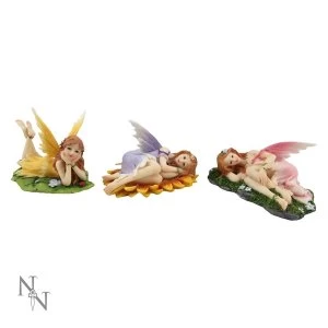 Image of Floral Slumbers Pack Of 3 Fairy Figures