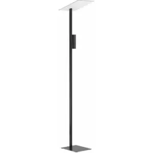 Image of Loops - Floor Lamp Light Black Slim Stem Shade Flat Square Bulb GU10 2x5W Included