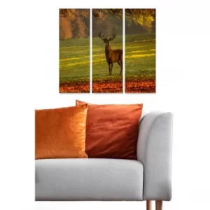 Image of MDF1764608 Multicolor Decorative MDF Painting (3 Pieces)