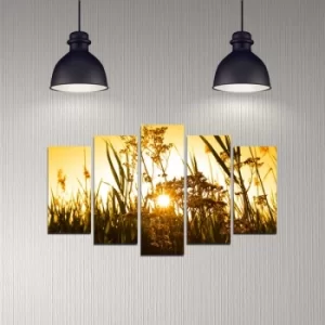 Image of 5DMDF-20 Multicolor Decorative MDF Painting (5 Pieces)