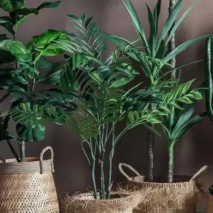 Image of Crossland Grove Areca Palm Tree Small 710X710X910Mm