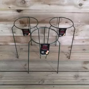 Image of Pack of 3 Tom Chambers Green Metal Herbaceous Garden Plant Support Rings Small