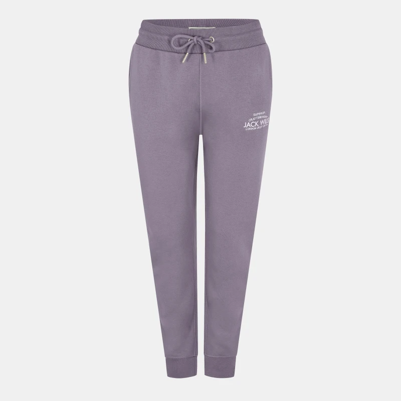 Image of Jack Wills Hunston Joggers Dusky Blue female 8 (XS)