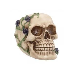 Image of Purple Rose from Beyond Skull