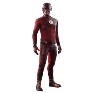 Image of Hot Toys The Flash Action Figure 1/6 The Flash 31cm