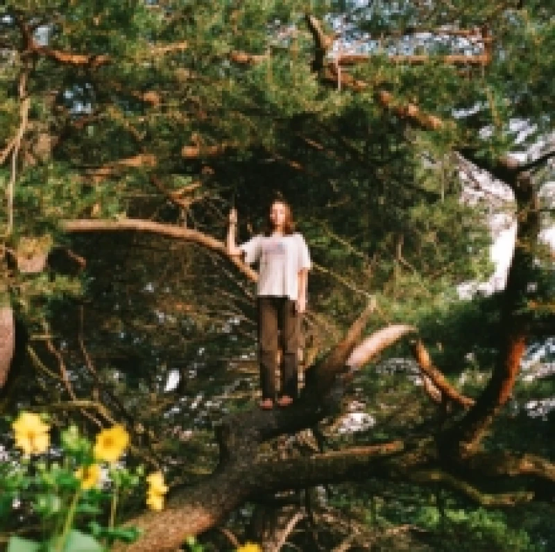 Image of Melt the Honey Vinyl