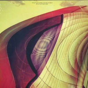 Image of The Future Sound Of London - Environment Volume Six Vinyl
