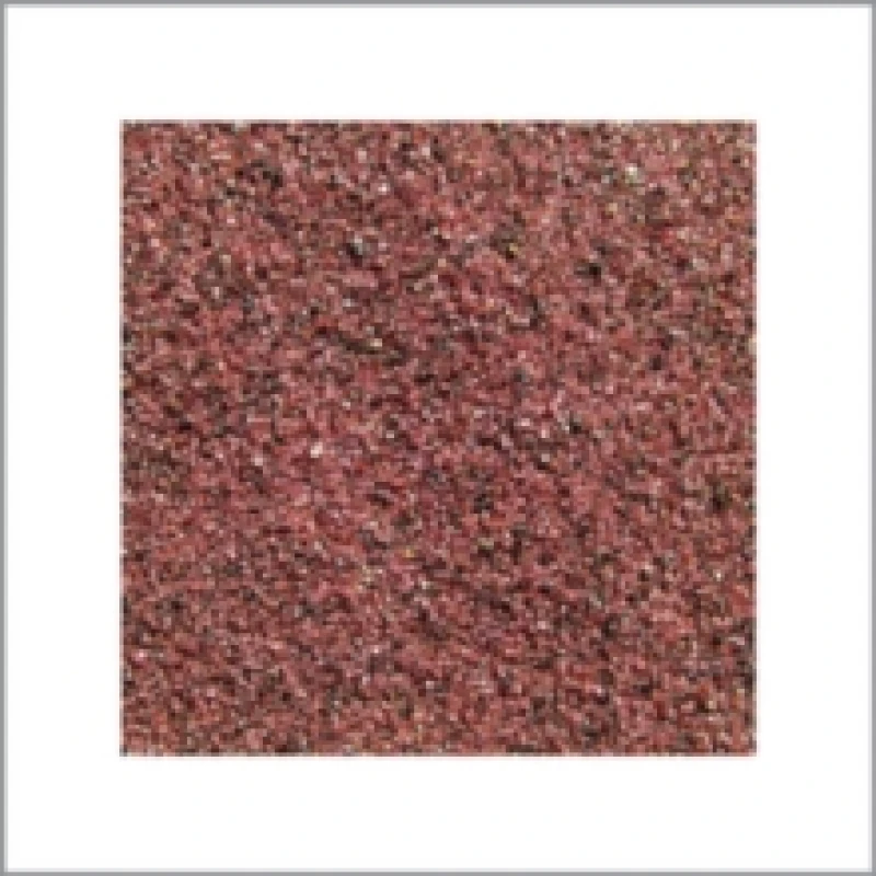 Image of Travis Laplante & Peter Evans - Secret Meeting [CD / Album] Music CDs - Music CD