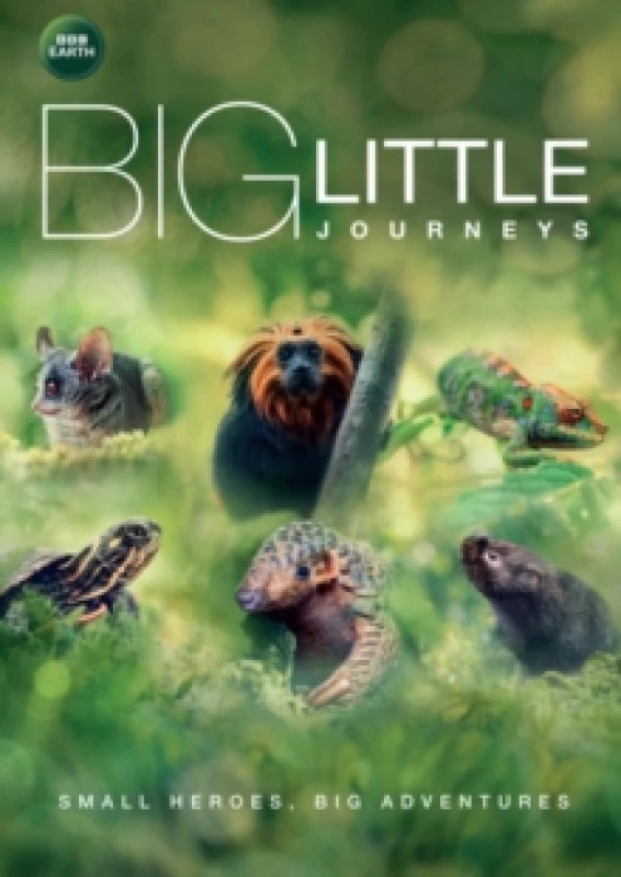 Image of Big Little Journeys DVD