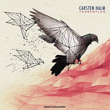 Image of Casten Halm - Taubenflug Vinyl