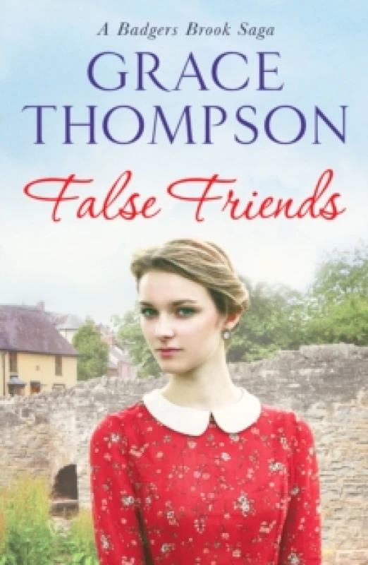 Image of False Friends Paperback / softback