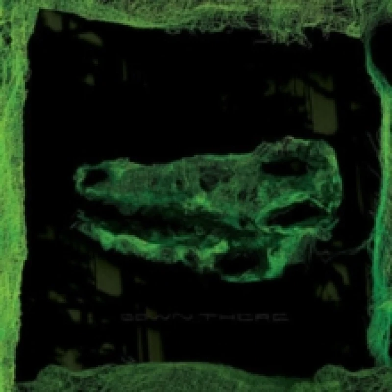 Image of Down There Vinyl