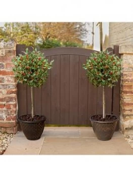 Image of Pair Holly Tree Standards In Berry With 2 Gold Decoplanters