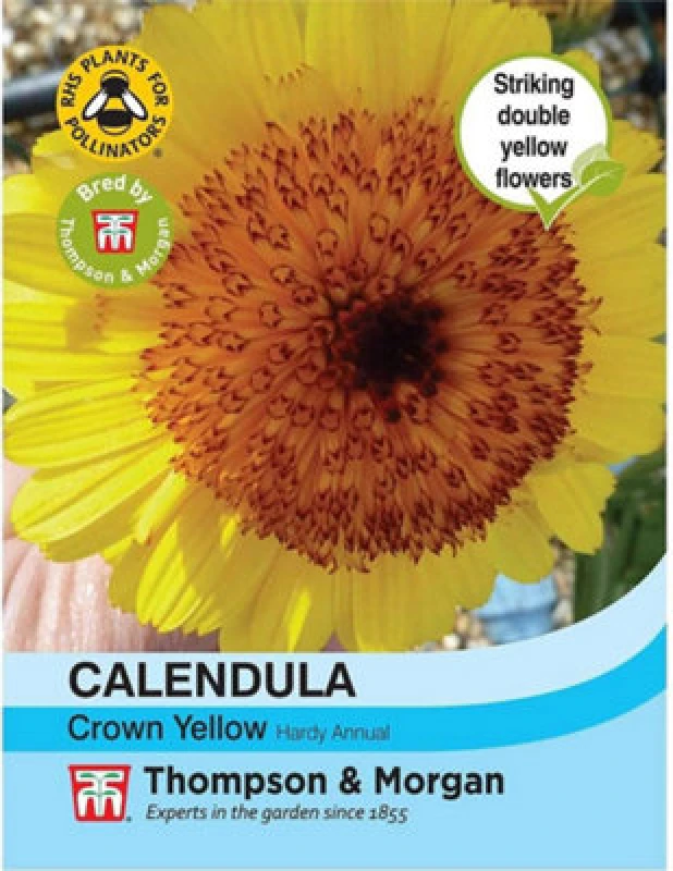 Image of Thompson & Morgan Calendula Double Crested Crown Yellow 1 Packet (100 Seeds)