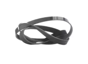 Image of RIDEX V-ribbed belt 305P0205 Serpentine belt,Auxiliary belt HYUNDAI,NISSAN,KIA,H-1 Travel (TQ),H-1 Cargo (TQ),H-1 Kastenwagen (A1)